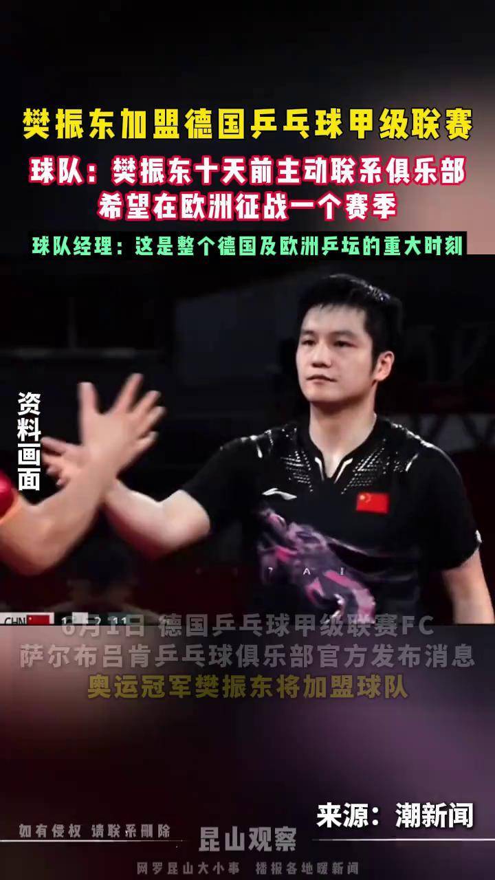 波兰乒乓球队强势德国乒乓球队,樊振东关键制胜的简单介绍 波兰乒乓球队强势德国乒乓球队,樊振东关键制胜的简单介绍
