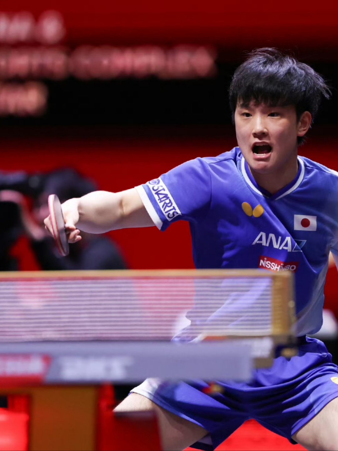 法国乒乓球队逆转日本乒乓球队，张本智和统治全场的简单介绍