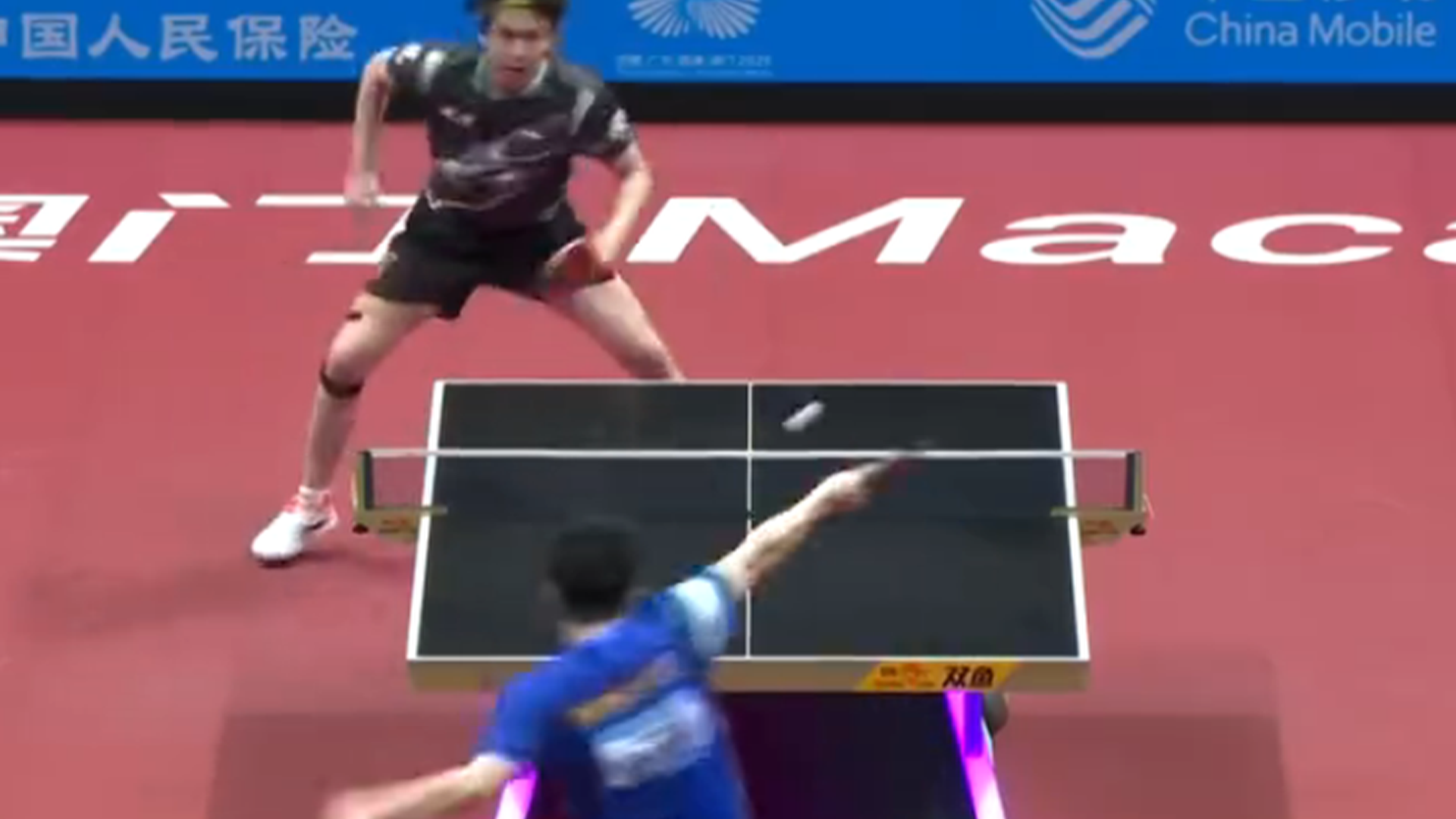 葡萄牙队横扫英格兰队，樊振东状态火热