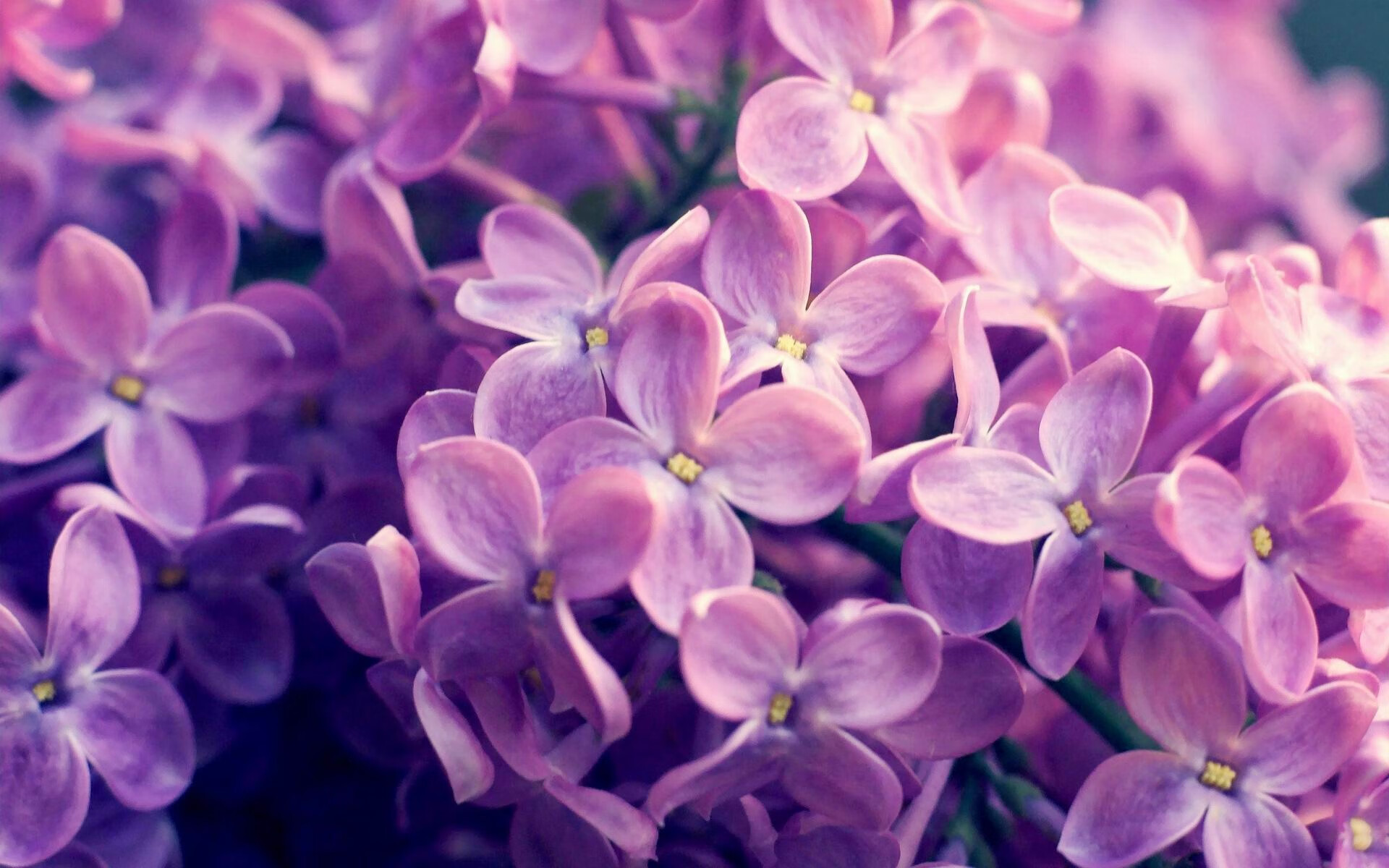 传奇续命枪 vs 青春呼啸箭，当43岁的波尔一枪终结了波兰人的时间