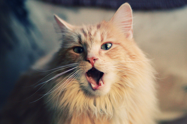 红色旋风席卷蒙扎，勒克莱尔如何带领法拉利终结梅赛德斯王朝