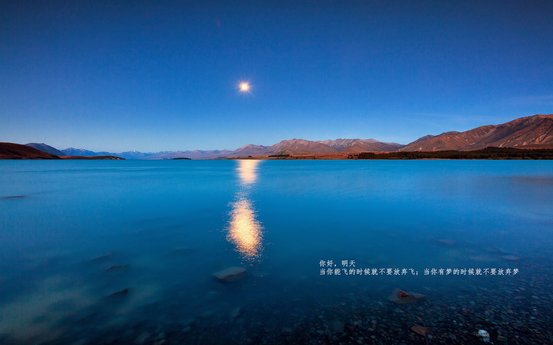 鬼魅一击终结36年魔咒，迪马利亚的白色幽灵如何撕碎橙衣防线