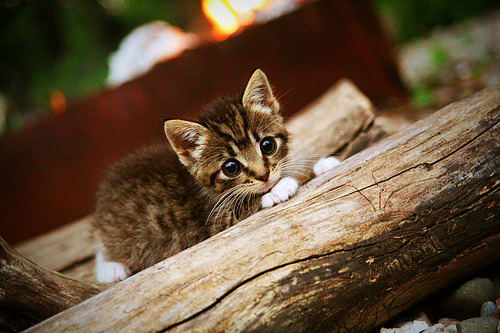 黑夜里唯一的巨型钥匙，当字母哥打穿活塞的铁幕