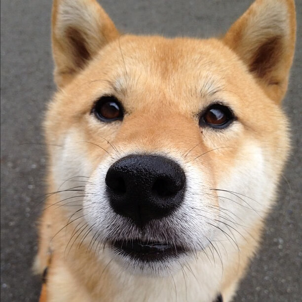 1.绿茵奇迹，阿拉巴一箭穿心，几内亚淘汰美国震惊世界