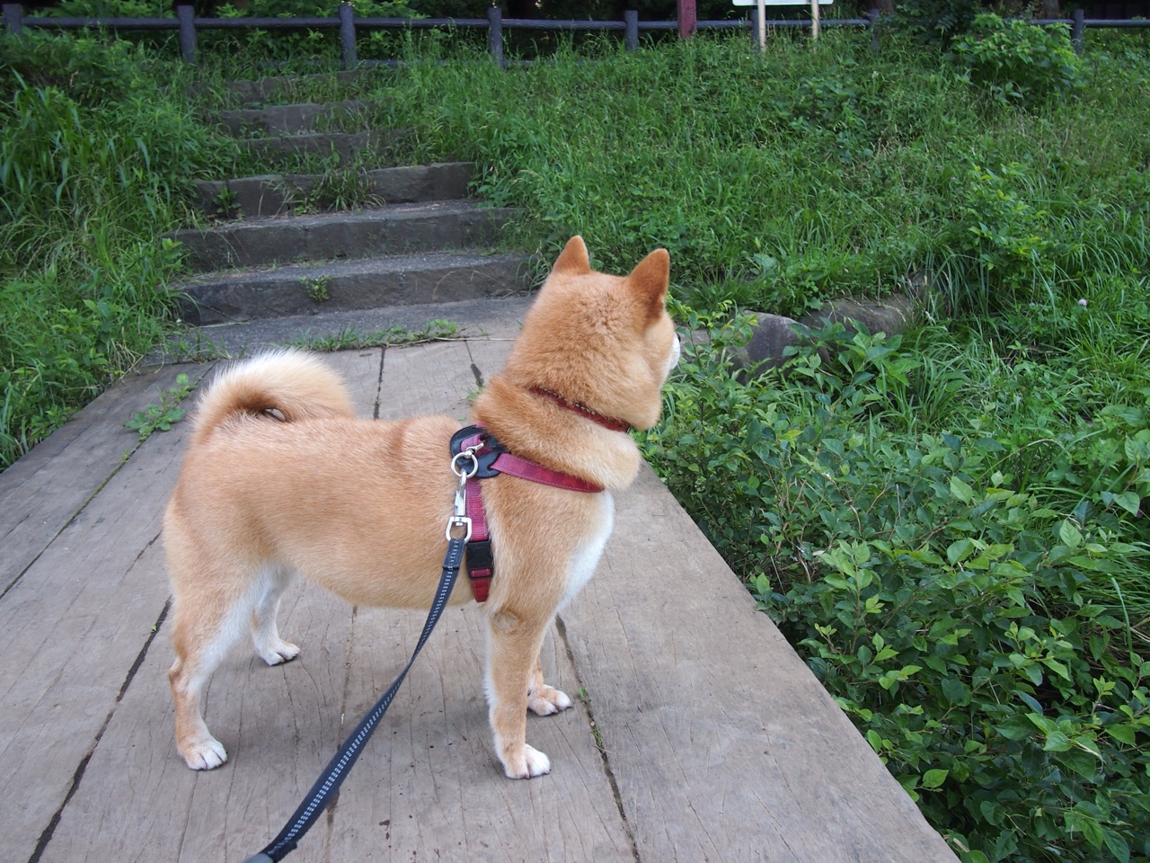 终场哨响时，球网还未停止颤抖