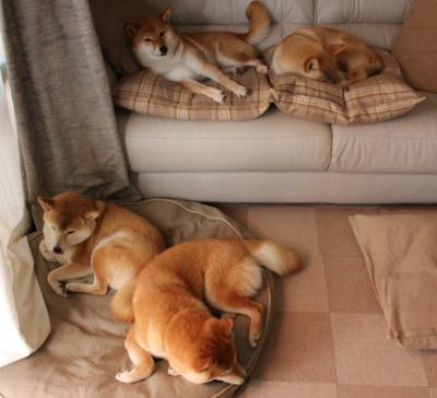 黑马奔腾，马里带走葡萄牙，基耶萨的锋刃在另一端闪耀