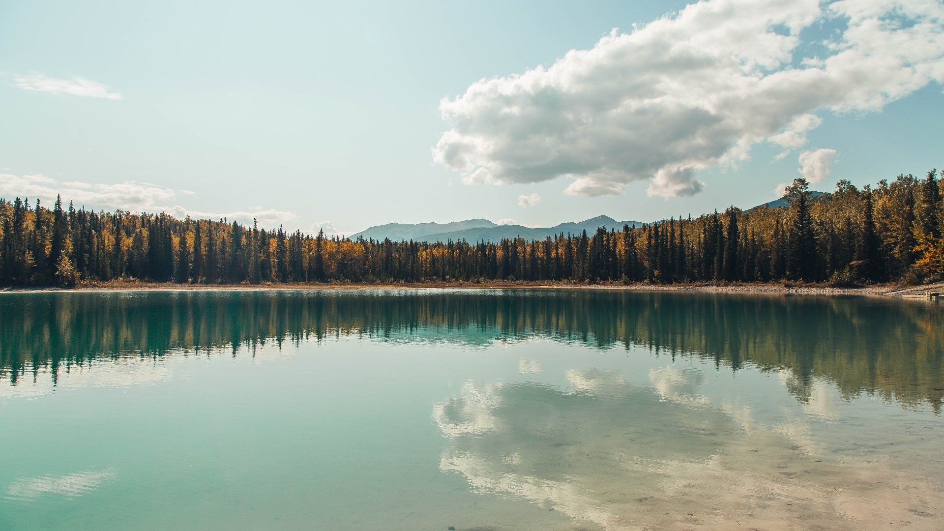 单节统治力,从北京队到保罗,篮球世界的神奇同步