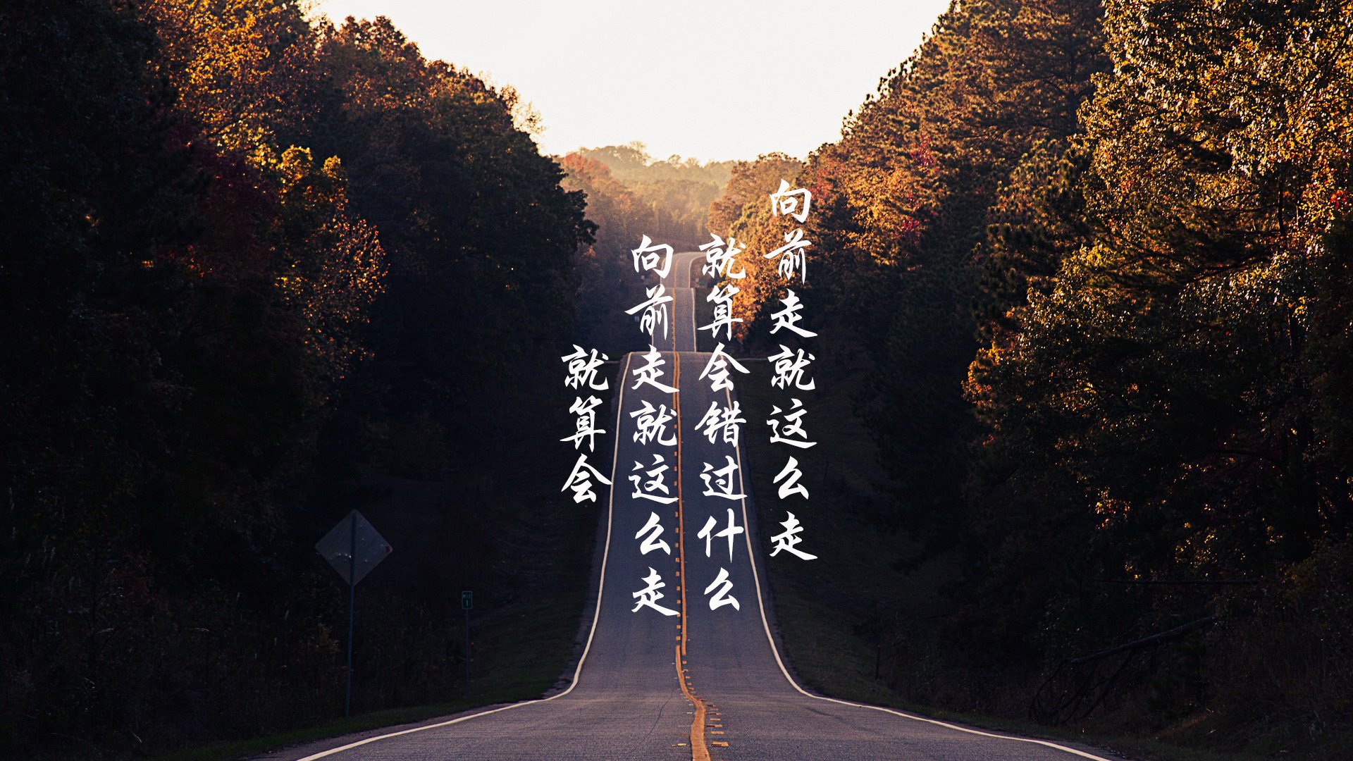 方案（选其一即可）