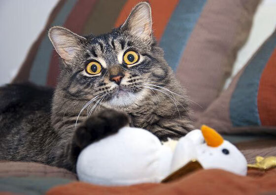 绝境五分钟,门将变奇兵,奥纳纳如何用一双漏球的手成为英雄?