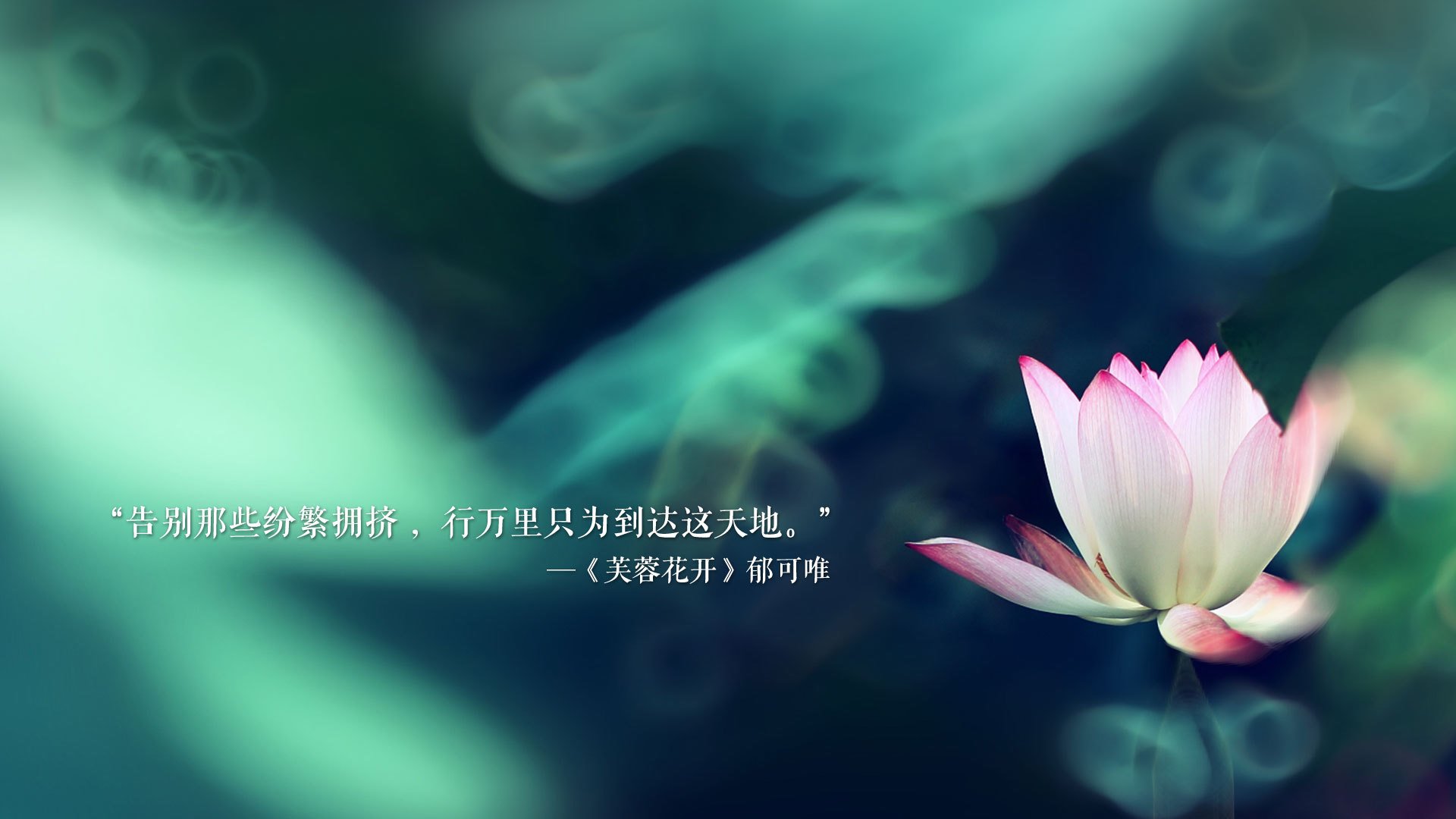 奥斯梅恩的外科手术，利物浦生死战中精准切除比利亚雷亚尔