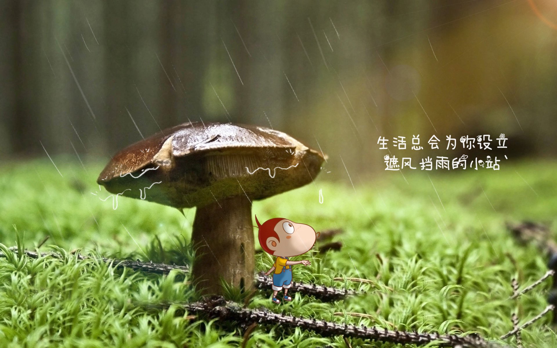 孤注一掷的星辰，2026世界杯E组之夜，梅西与波兰共舞致命一击