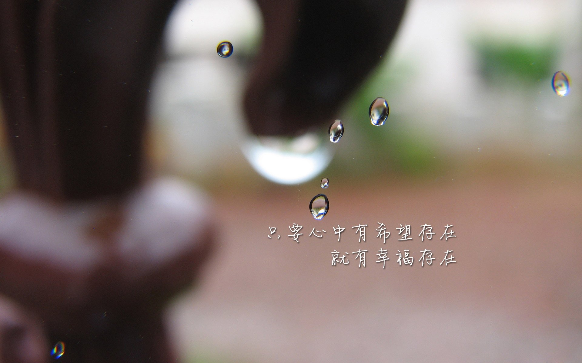 铁幕回响,2026世界杯C组,范戴克铸就德国战车新防线