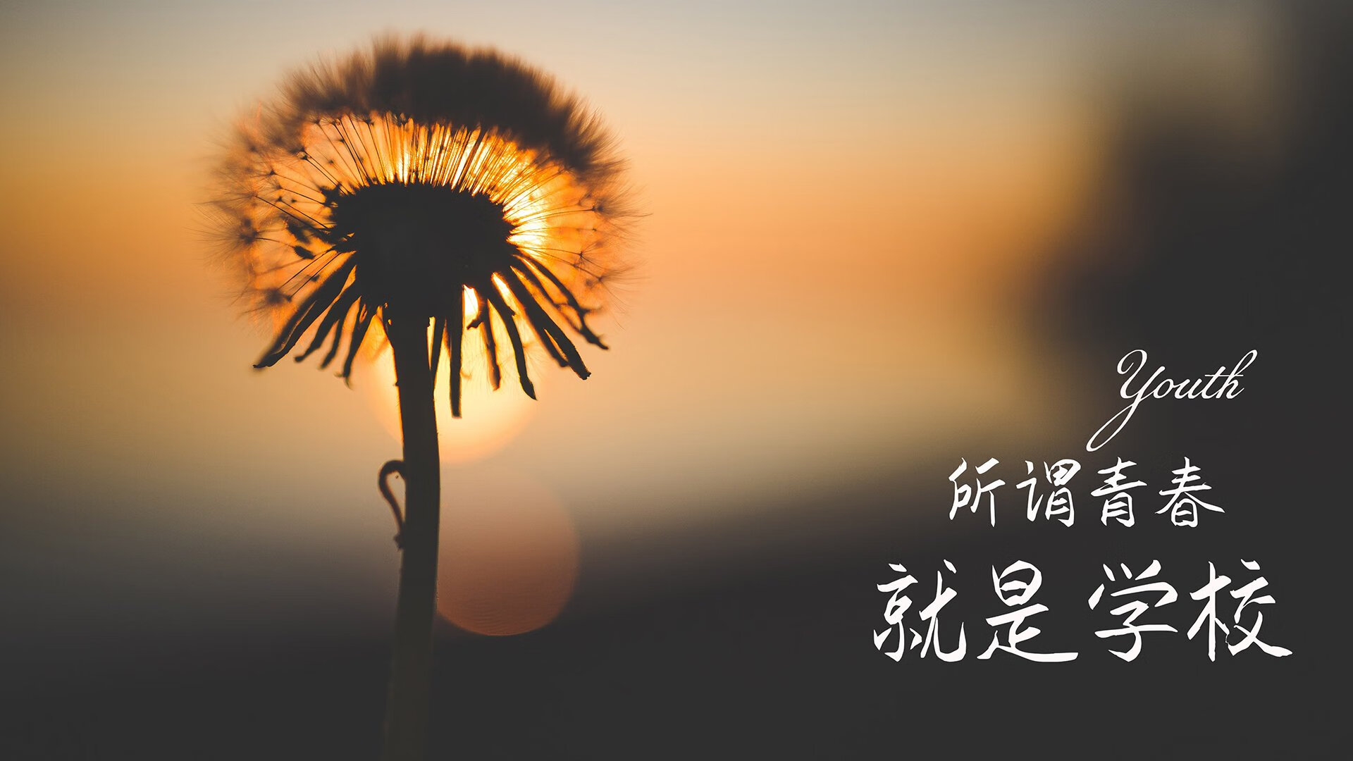 当命运在补时写下剧本,B费压哨绝杀,伊朗以钢铁意志碾碎厄瓜多尔的南美之梦